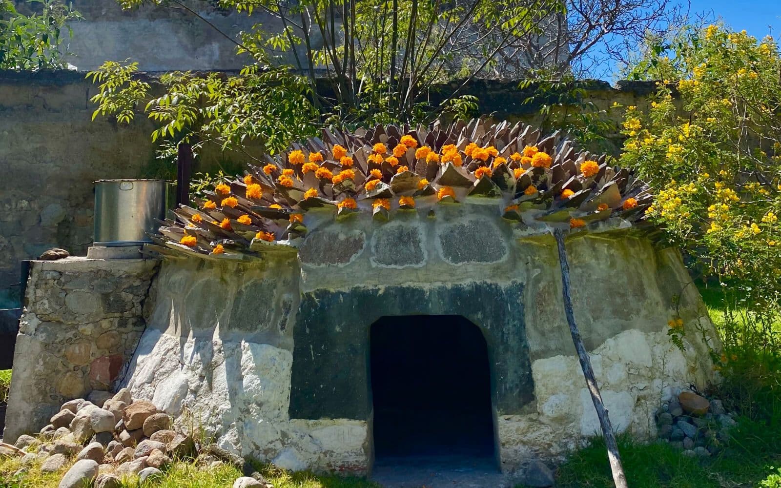 Temazcal de Hacienda Santa Bárbara, decorado con vibrantes flores de cempasúchil. En un día soleado, rodeado de exuberante vegetación, este ancestral espacio te invita a vivir una experiencia única de conexión con la naturaleza y la cultura mexicana.